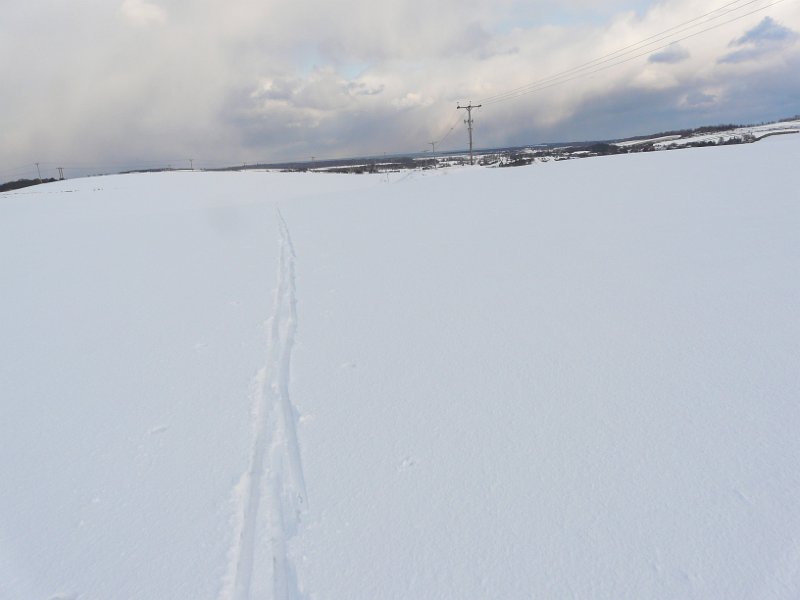 P1180318.JPG -  Lone ski tracks - Alastair Seagroatt